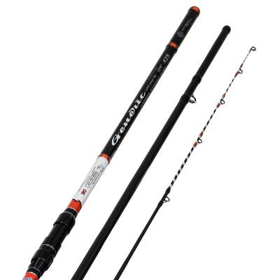 Albastar Generic 425cm 100-250gr Surf Olta Kamışı - 2
