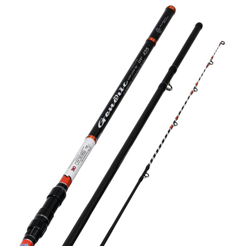 Albastar Generic 425cm 100-250gr Surf Olta Kamışı - 2