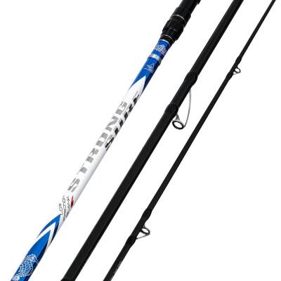 Albastar Generic 425cm 100-300gr Surf Olta Kamışı - 2