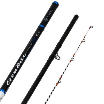 Albastar Generic 425cm 100-300gr Surf Olta Kamışı - 3