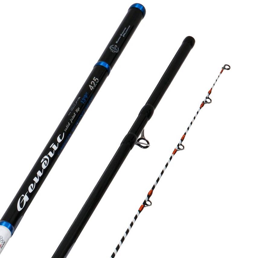 Albastar Generic 425cm 100-300gr Surf Olta Kamışı - 3