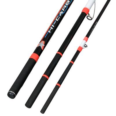 Albastar Massive 425cm 100-300gr Surf Olta Kamışı - 3