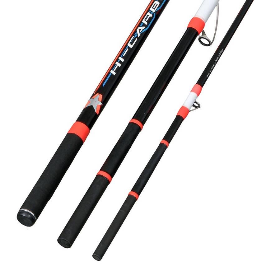 Albastar Massive 425cm 100-300gr Surf Olta Kamışı - 3