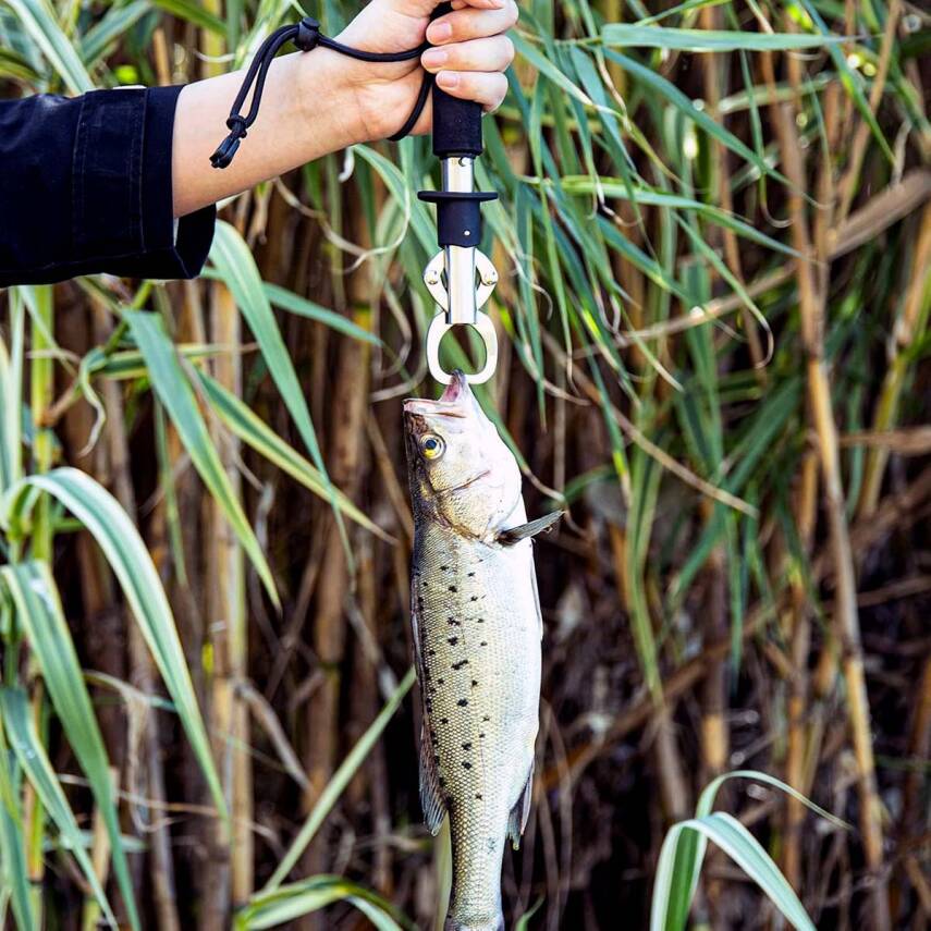Bauer 24cm Fish Grip 15kg Tartılı Balık Tutucu - 3