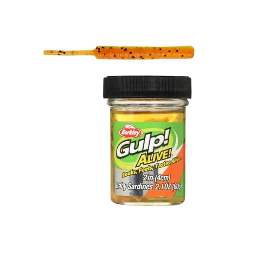 Berkley Gulp Alive Baby Sardine 4cm Kokulu LRF Silikon Yem - 3