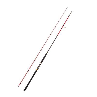 Caretta Vector 295cm 40-120gr Shore Jigging Kamışı