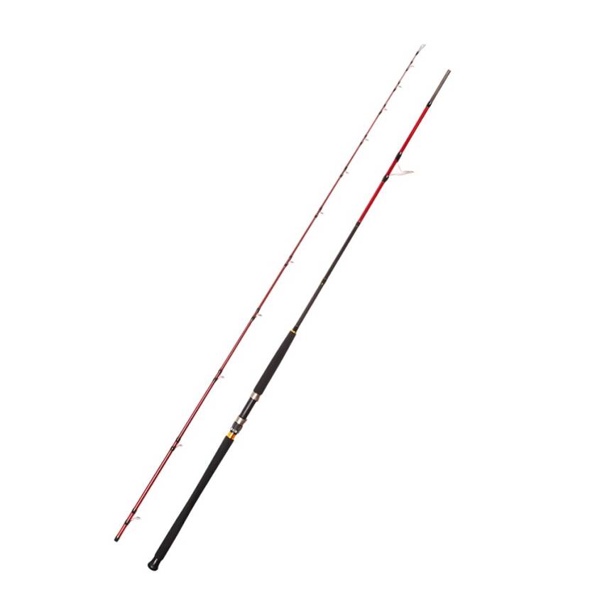 Caretta Vector 295cm 40-120gr Shore Jigging Kamışı - 1