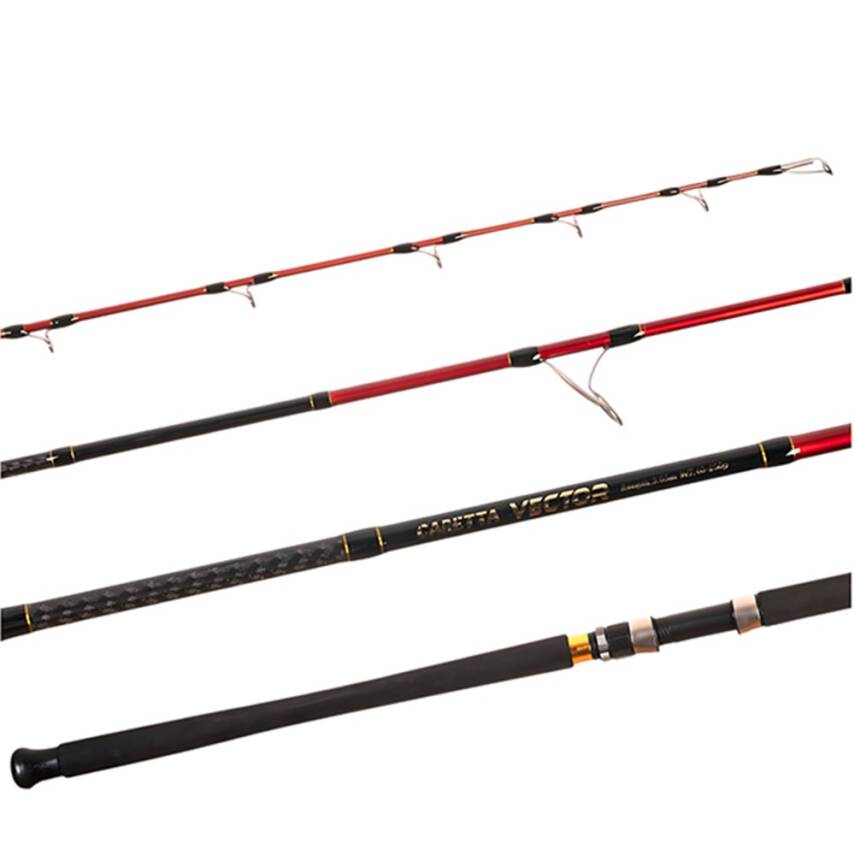 Caretta Vector 295cm 40-120gr Shore Jigging Kamışı - 2