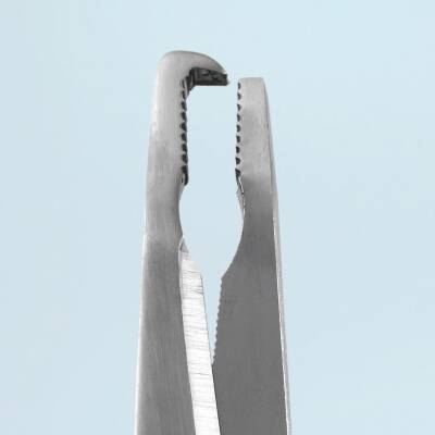 Daiichiseiko Homing Pliers Type SR Olta Misinası Makası - 5