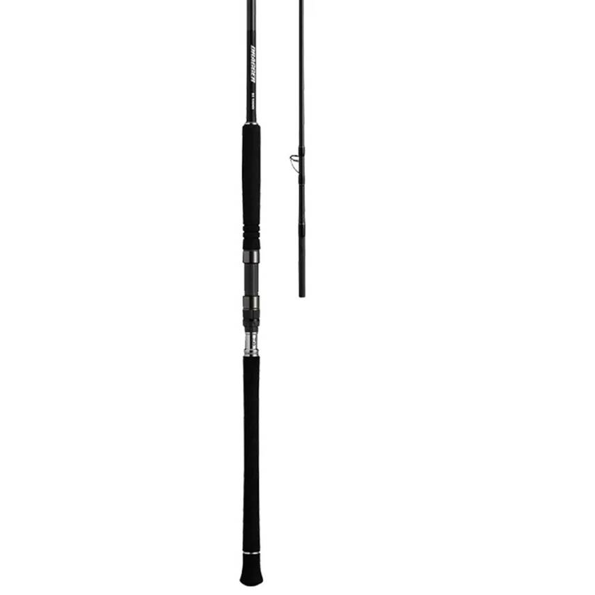Daiwa Dragger SX 305cm Max.130gr Shore Jigging Olta Kamışı - 2