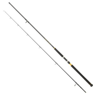 Daiwa Legalis Shore Jigging CF 290cm 28-84gr Olta Kamışı