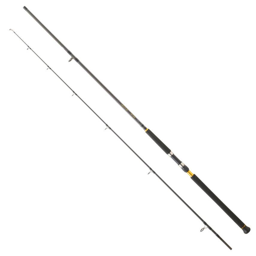 Daiwa Legalis Shore Jigging CF 305cm 60-120gr Olta Kamışı - 1