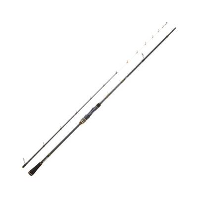 Daiwa Team Daiwa Tenya SP 192cm Max 300gr Tai Rubber Kamışı