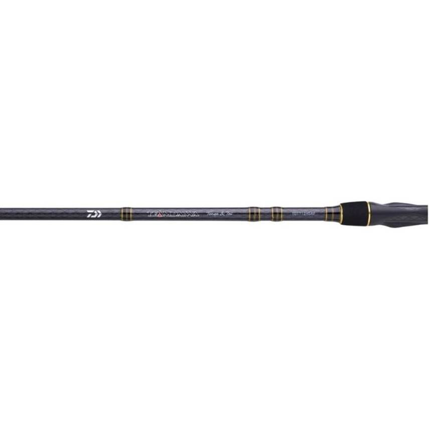 Daiwa Team Daiwa Tenya SP 192cm Max 300gr Tai Rubber Kamışı - 4