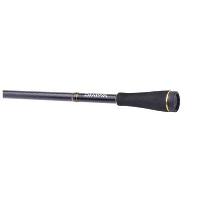 Daiwa Team Daiwa Tenya SP 192cm Max 300gr Tai Rubber Kamışı - 5