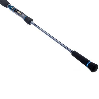 Jigging Master V.I.P. Performance Edition 2S 182cm 250gr Slow Jig Olta Kamışı - 4