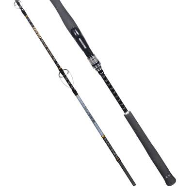 Ryuji Seawolf Plus SP Fuji 198cm 150-250gr Jig Olta Kamışı - 2