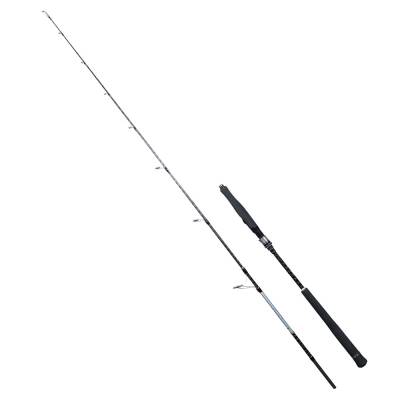 Ryuji Seawolf Plus SP Fuji 198cm 30-150gr Jig Olta Kamışı