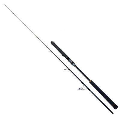 Ryuji Seawolf SP 198cm 30-150gr Jig Olta Kamışı