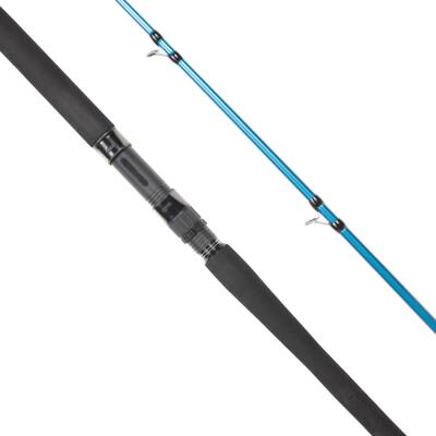 Ryuji Shore Game Fuji KW 285cm 25-85gr Shore Jig Kamış - 3