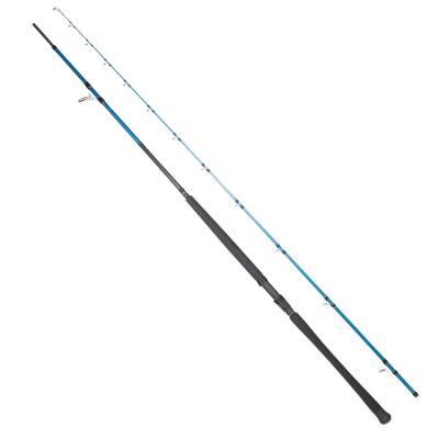 Ryuji Shore Game Fuji KW 295cm 30-100gr Shore Jig Kamış