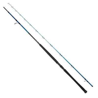 Ryuji Shore Game Fuji KW 310cm 60-150gr Shore Jig Kamış