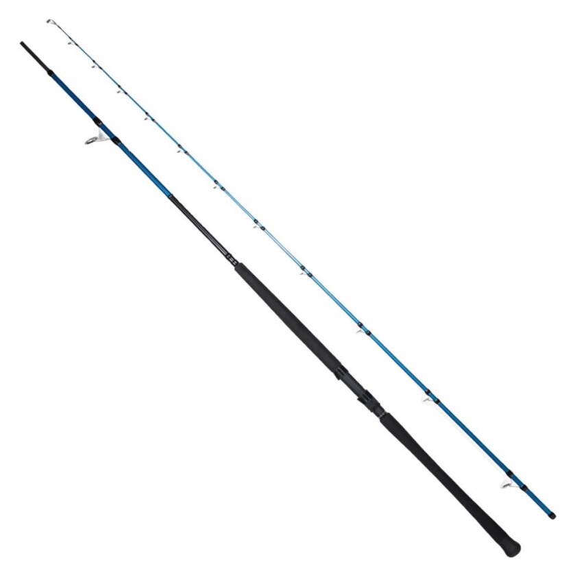 Ryuji Shore Game Fuji KW 310cm 60-150gr Shore Jig Kamış - 1