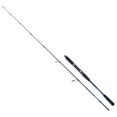 Ryuji Strobe SP II 198cm 60-130gr Jig Olta Kamışı
