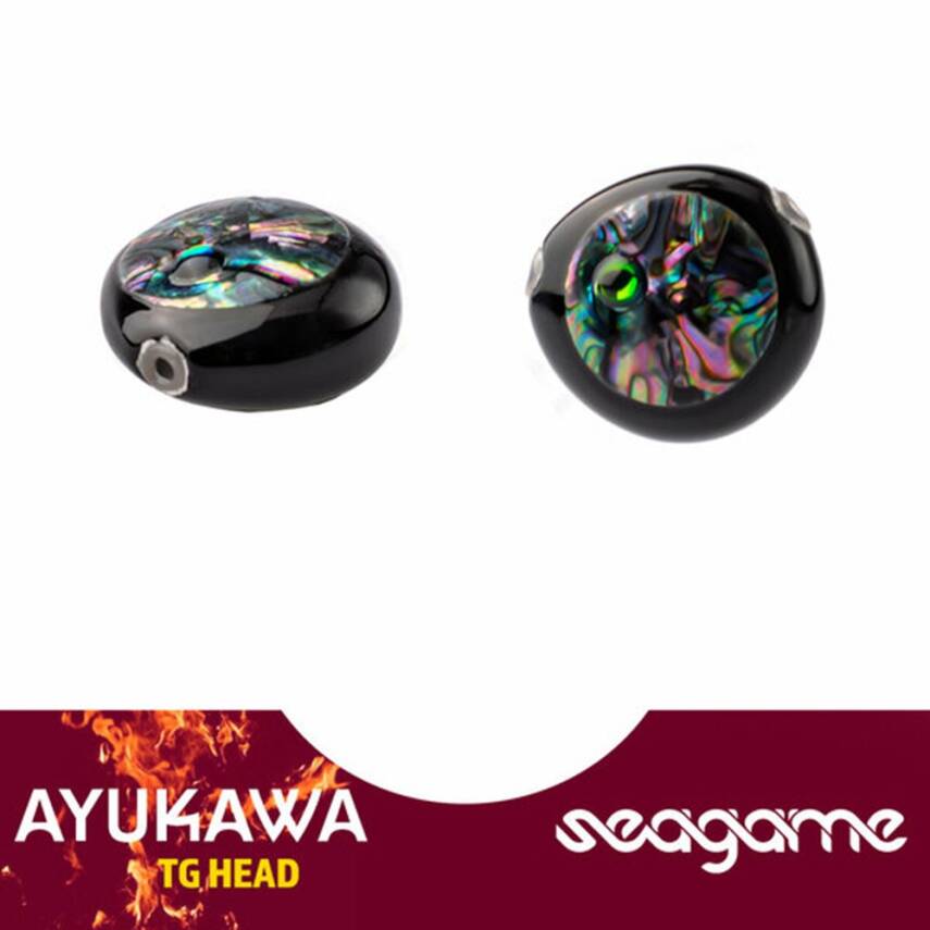 Seagame Ayukawa 100gr Tungsten Tai Rubber Jig Yem - 5