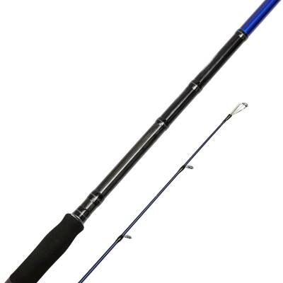 Bauer Risco SGS6 290cm 30-70gr Shore Jigging Kamışı - 2