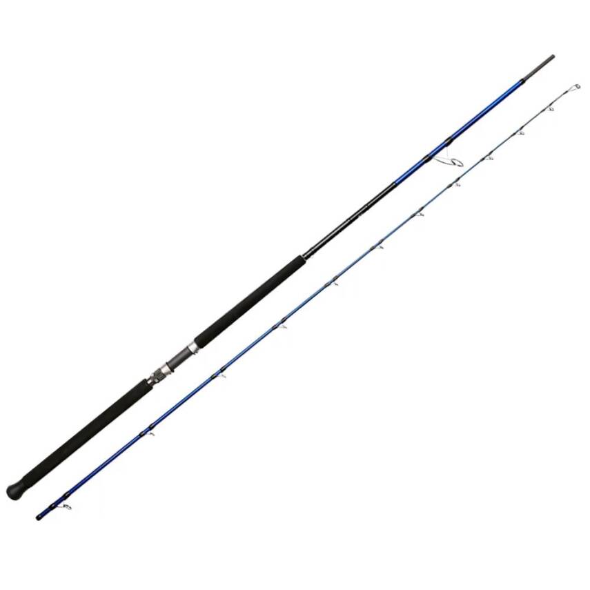 Bauer Risco SGS6 305cm 30-100gr Shore Jigging Kamışı - 1