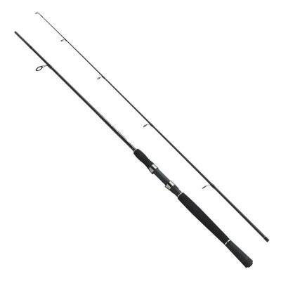 Fladen Xtra Flexx 270cm 10-30gr Spin Kamışı