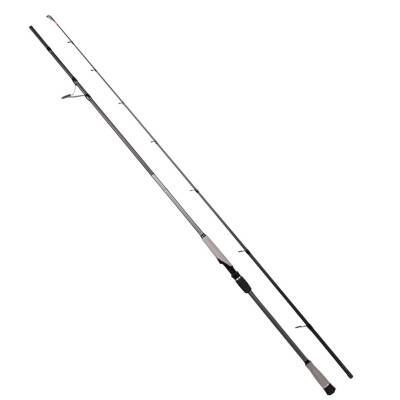 Ryuji Matrix 280cm 25-80gr Shore Jig Olta Kamışı