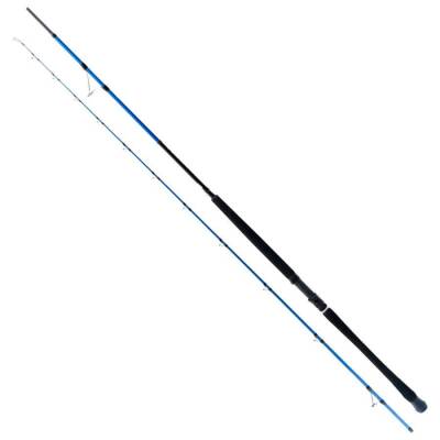 Ryuji Shore Game 285cm 25-85gr Shore Jig Kamış