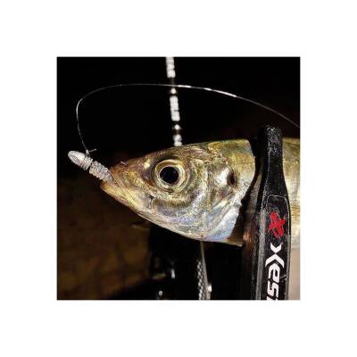 Xesta Bullet Ribhead Jighead - 3