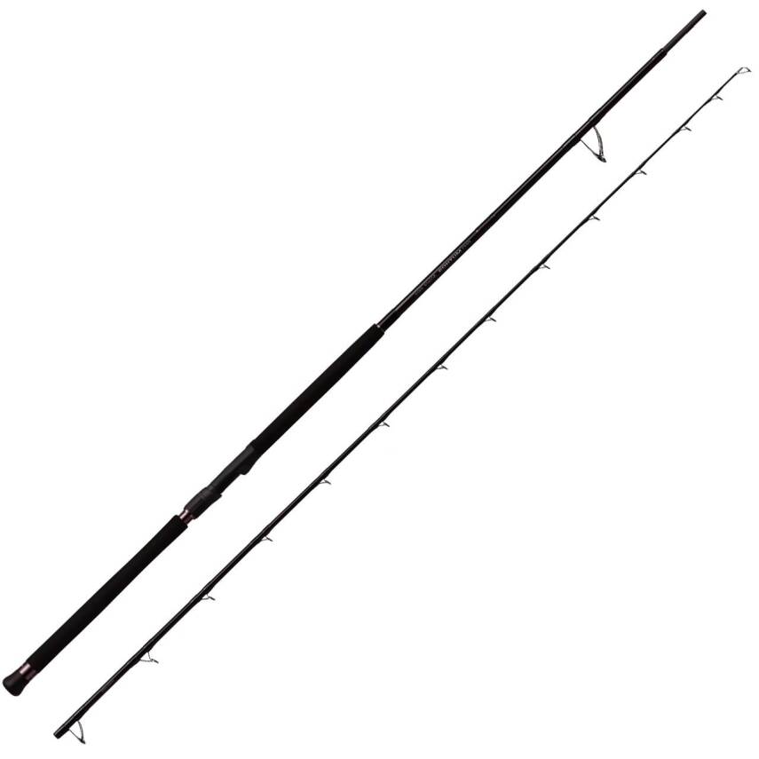 Zenaq Defi Muthos Accura 100H Type R 305cm 30-200gr Shore Jigging Kamışı - 2
