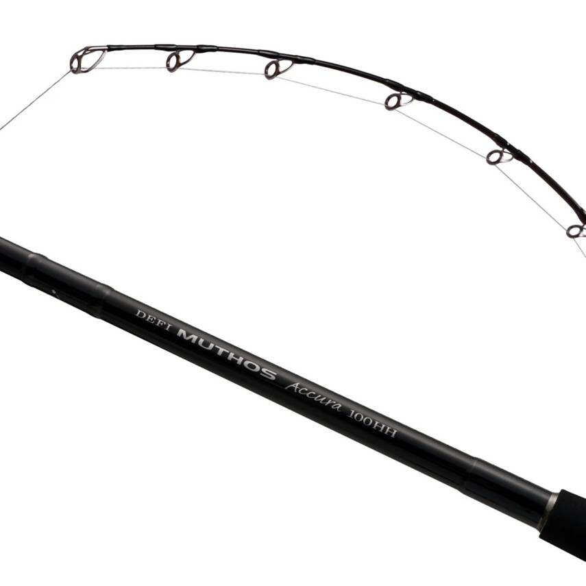 Zenaq Defi Muthos Accura 100H Type R 305cm 30-200gr Shore Jigging Kamışı - 5