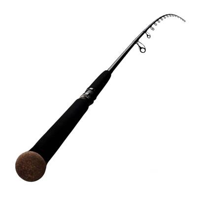 Zenaq Defi Muthos Sonio 100M RG 305cm 10-100gr Shore Jigging Kamışı