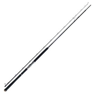 Zenaq Defi Muthos Sonio 100M RG 305cm 10-100gr Shore Jigging Kamışı - 3