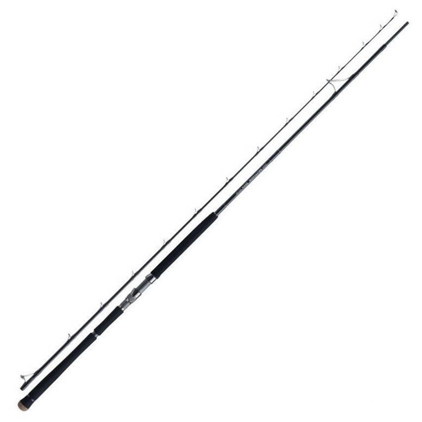 Zenaq Defi Muthos Sonio 100M RG 305cm 10-100gr Shore Jigging Kamışı - 3